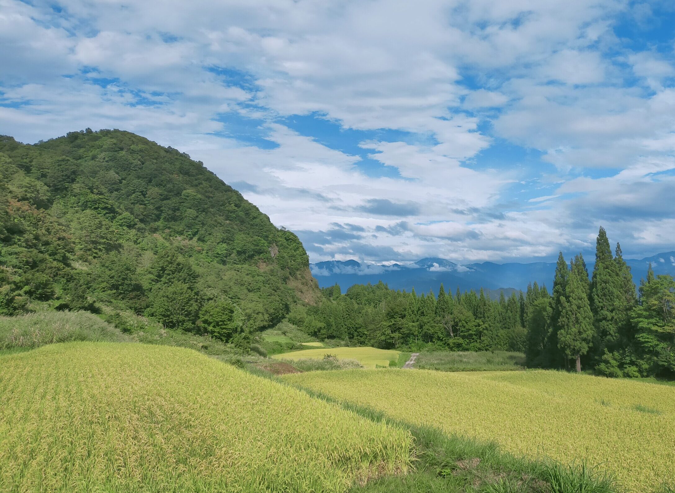 南魚沼産コシヒカリ
日熊の米
